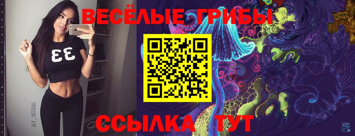 Галлюциногенные грибы Magic Shrooms Алексин