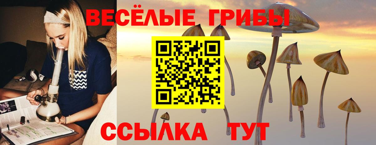 Алексин  Псилоцибиновые грибы ЛСД  что такое   Вход с VPN 